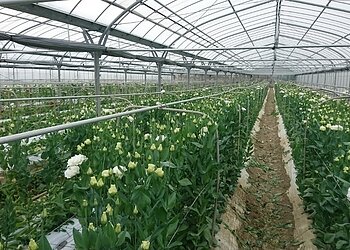 熊本県南阿蘇村Ｎ様のイメージ